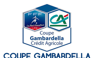 Gambardella... deuxième tour à Courson-Les Carrières, le 26 septembre...
