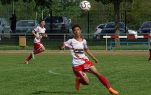 Les U14/U15 en U16 Honneur Ligue l'an prochain... c'est fait