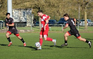 67e8fa6f1e4ab_CosneJuraDoloisCBFC3.JPG