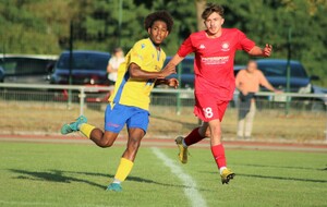 Dernier test réussi  face à Montargis, 2-0 : Cosne reçu cinq sur cinq !