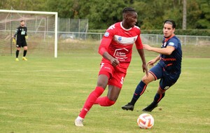 N3 : COSNE MAITRE A DOMICILE : 3 - 0 FACE À QUÉTIGNY