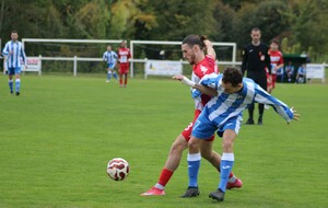 R3 : Cosne B piégé à Guérigny 3-2