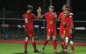 N3 (J22) : JURA SUD - COSNE