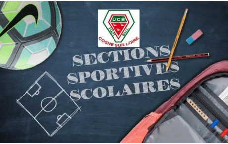 INSCRIPTIONS POUR LA CLASSE FOOT 2021-2022 (Collège René Cassin à Cosne)